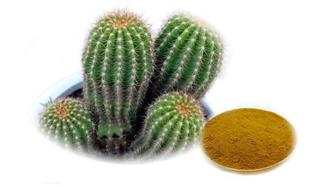 Hoodia gordoni als Deel vu Reduslim