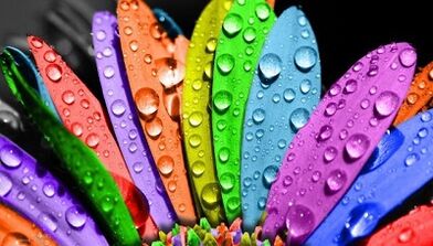 wéi Gewiicht ze verléieren op der 6 Bléieblieder Diät