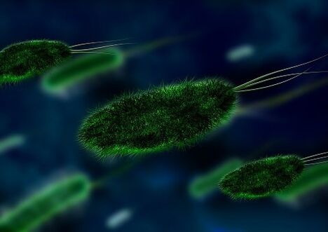 d'Ursaach vun der Gastritis ass eng Bakterie - Helicobacter
